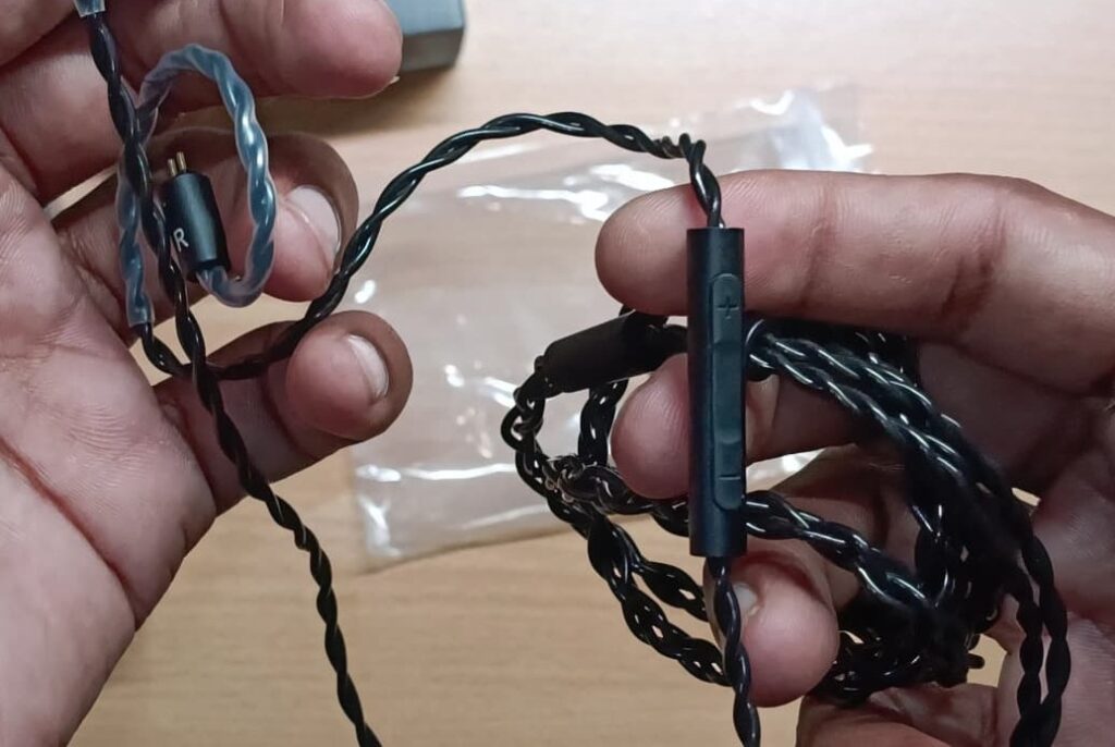 ZIIGAAT X VD DIGITAL RUMBA IEM Review with Mic
